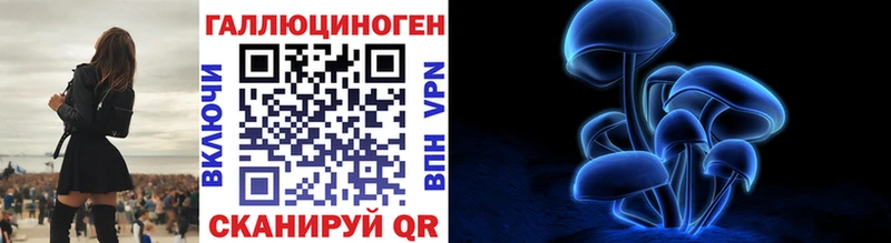 где можно купить наркотик  Узловая  Псилоцибиновые грибы Psilocybine cubensis 